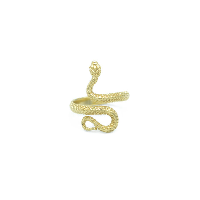 Bague serpent longue