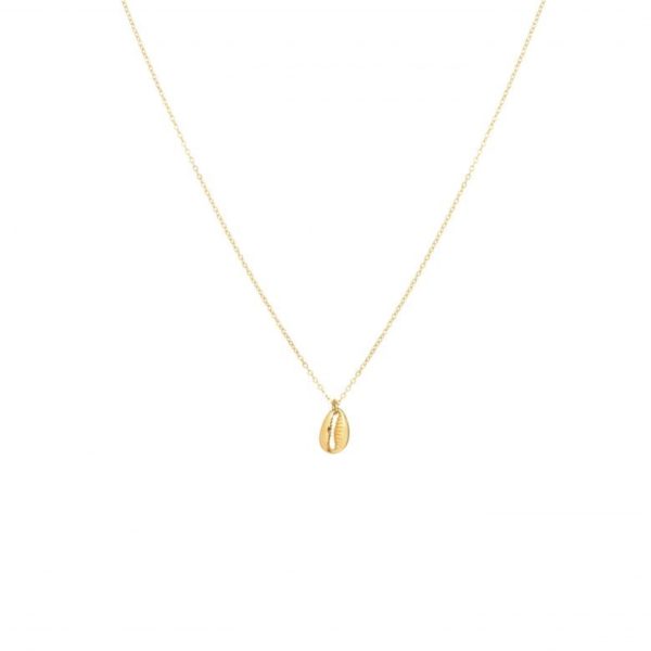 Bijoux coquillage, bijoux fantaisie, collier cauri, collier coquillage cauri, collier femme, collier or