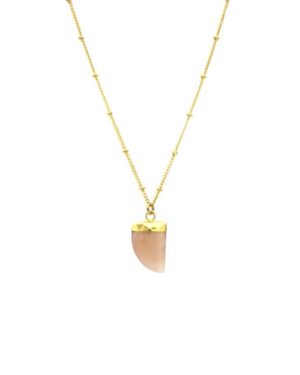 Collier griffe